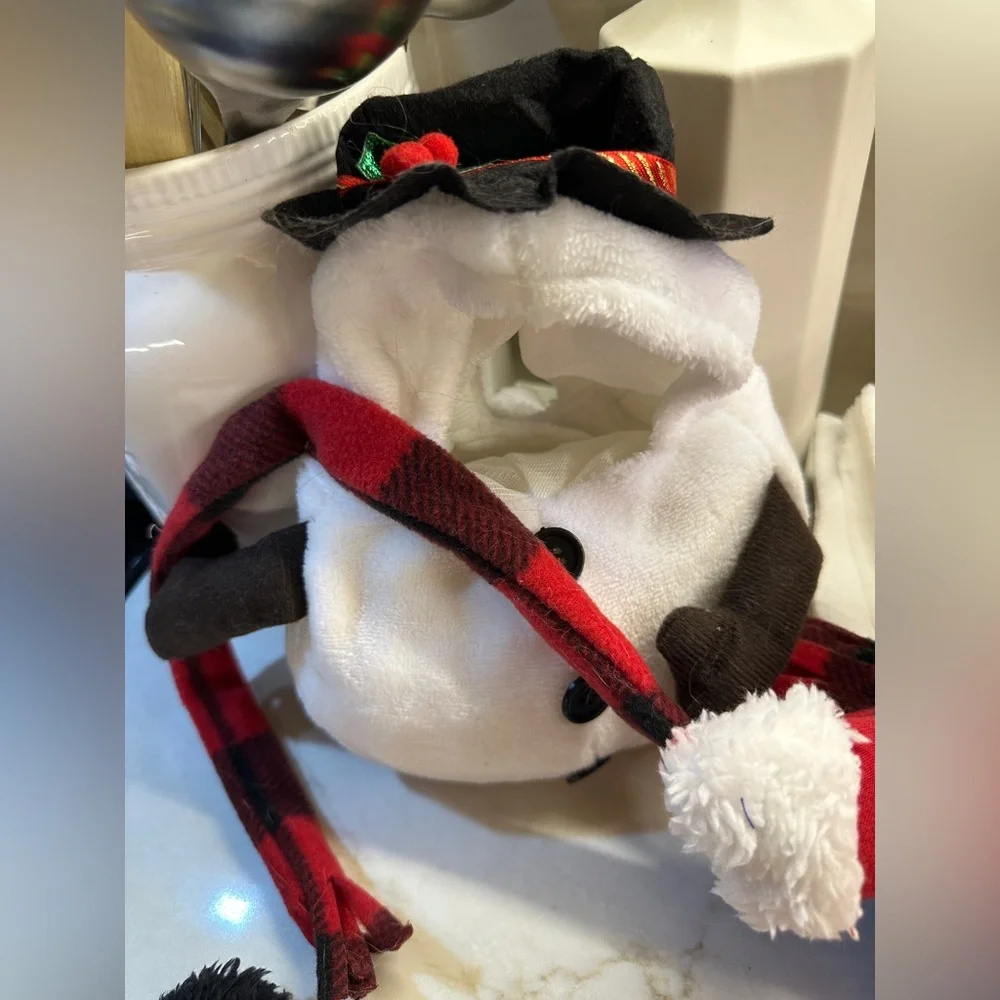 Pet Costume Set - Santa, Panda, Pirate, and More